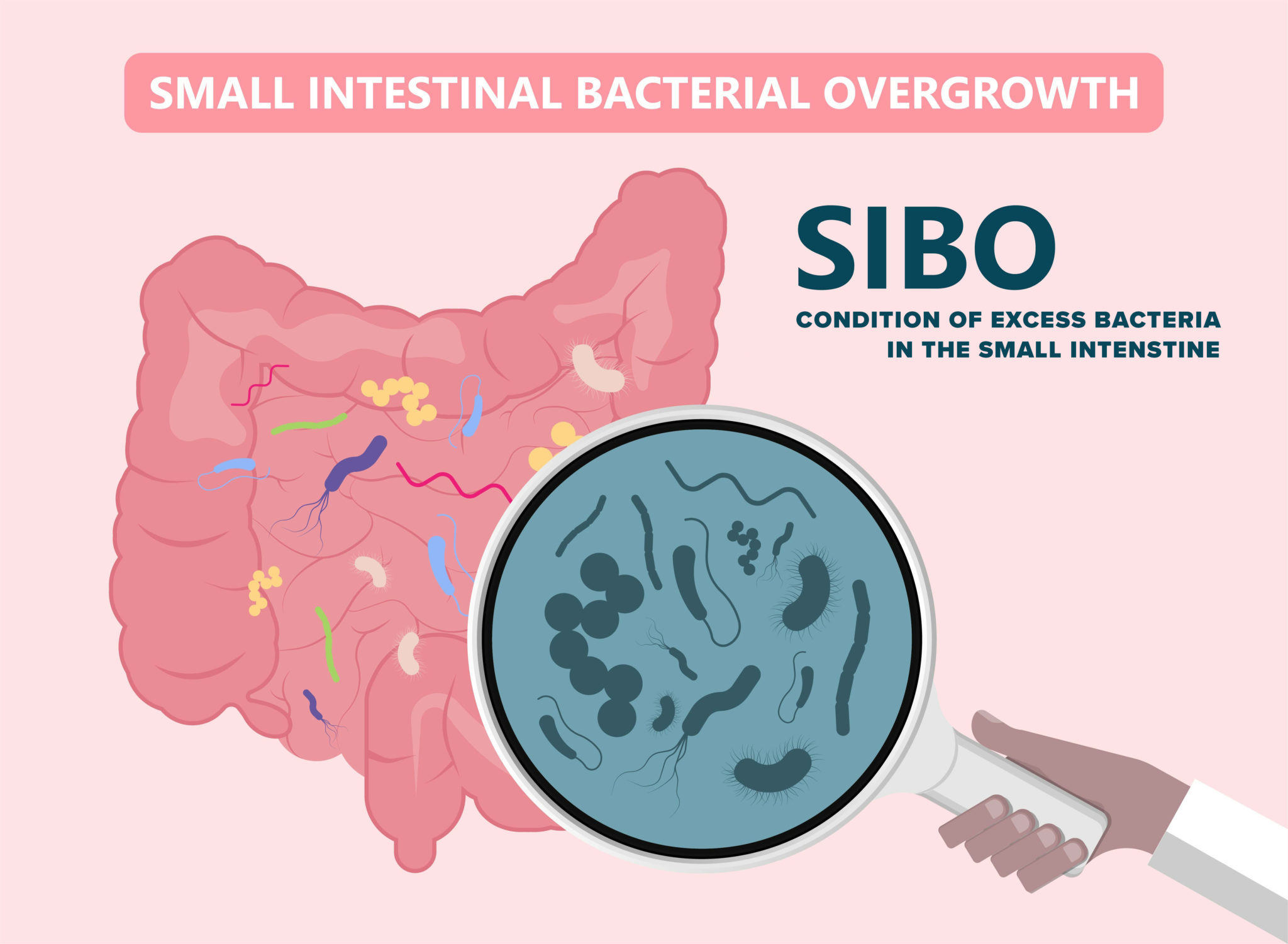 What Is Sibo How Do You Fix It Learn How To Optimize Your Life