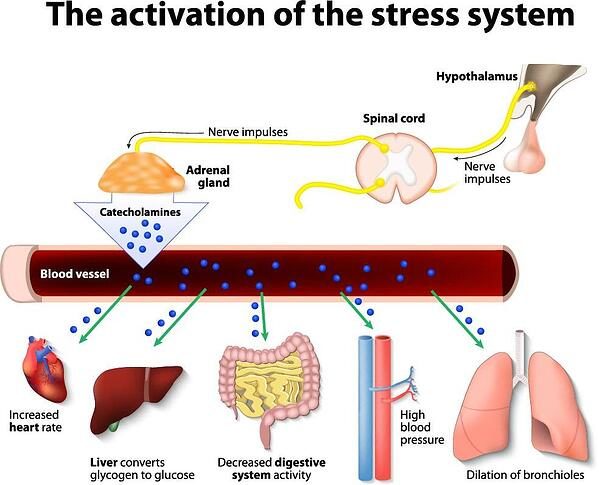 stress-system