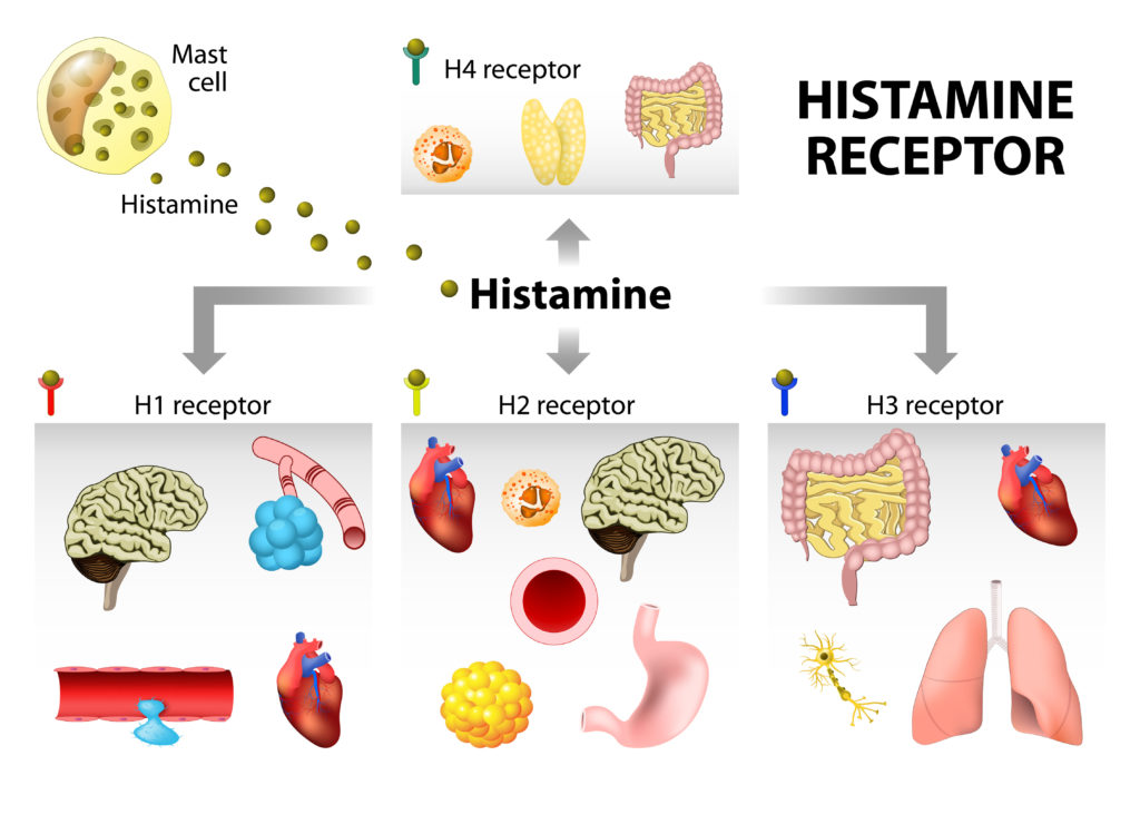 Histamine Intolerance: Everything You Need To Know