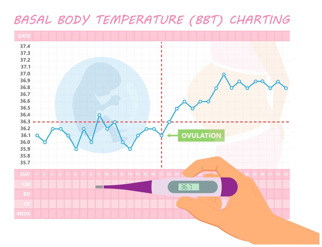 BBT-Basal-Body-Temperature-Charting
