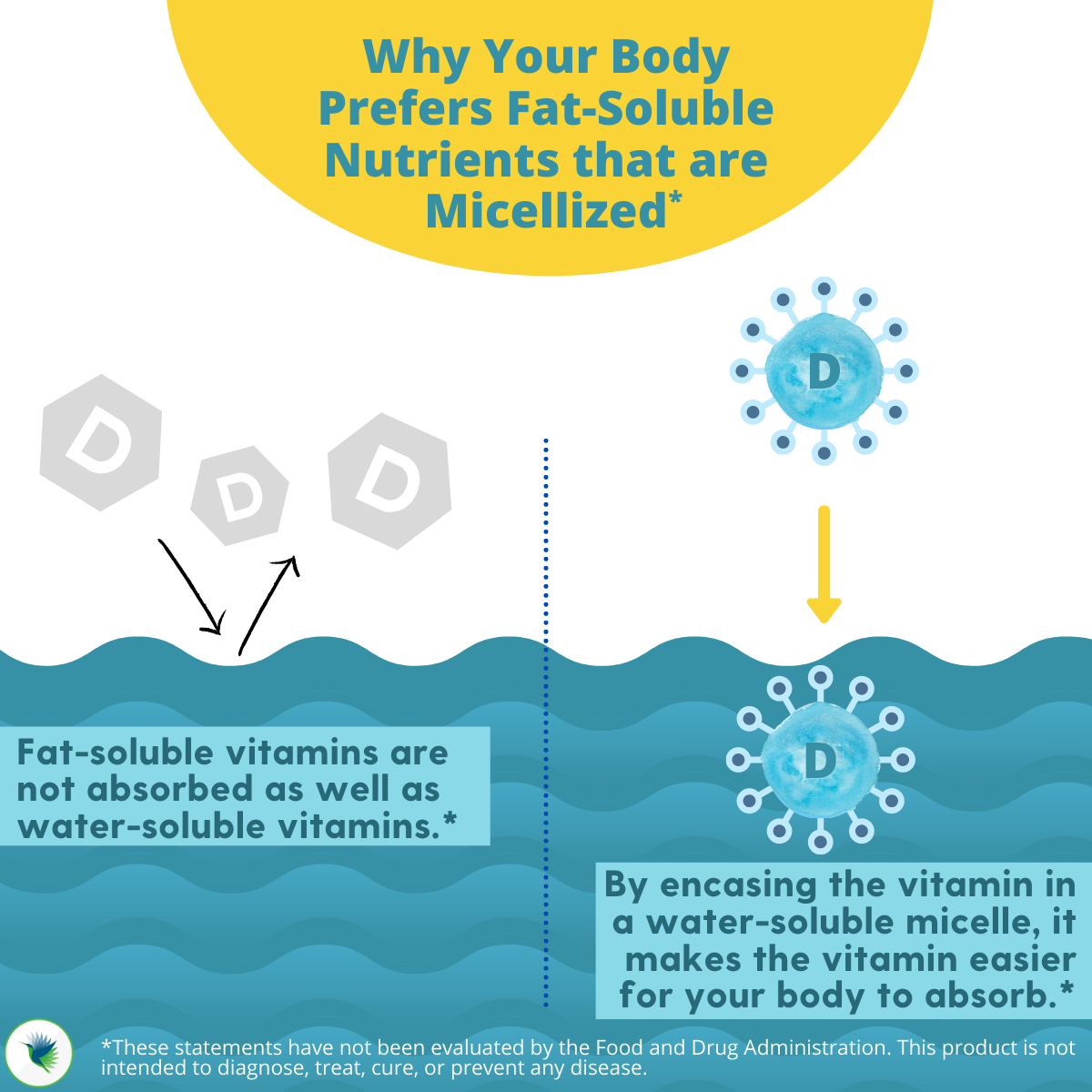 Your Body Prefers Micellized Fat Soluble Nutrients