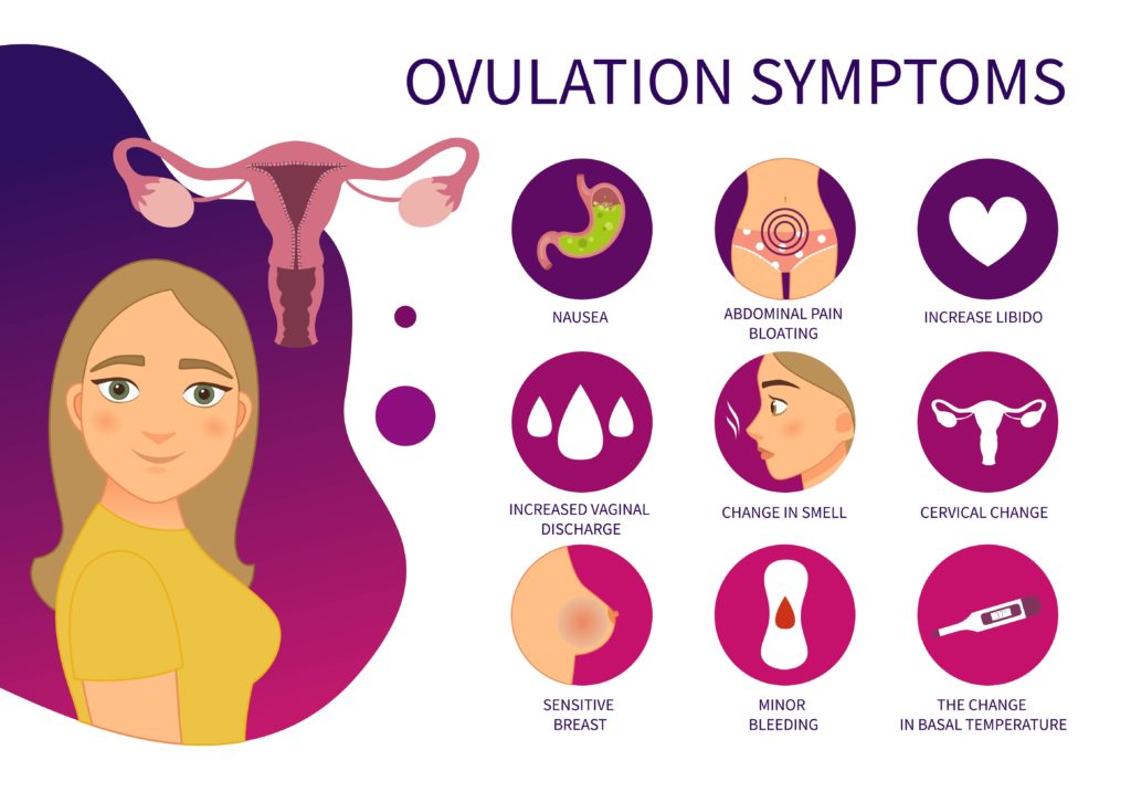 Ovulation-Symptoms-Fertility