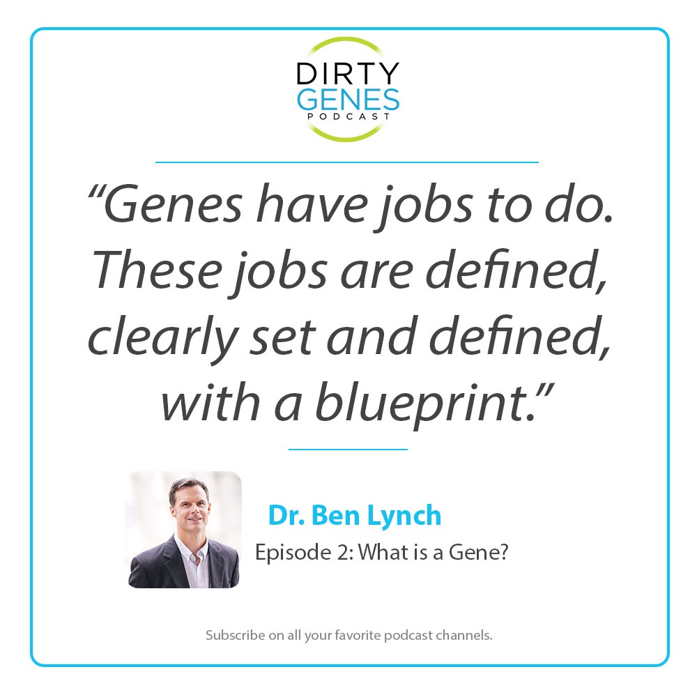 Quote-genes-have-jobs