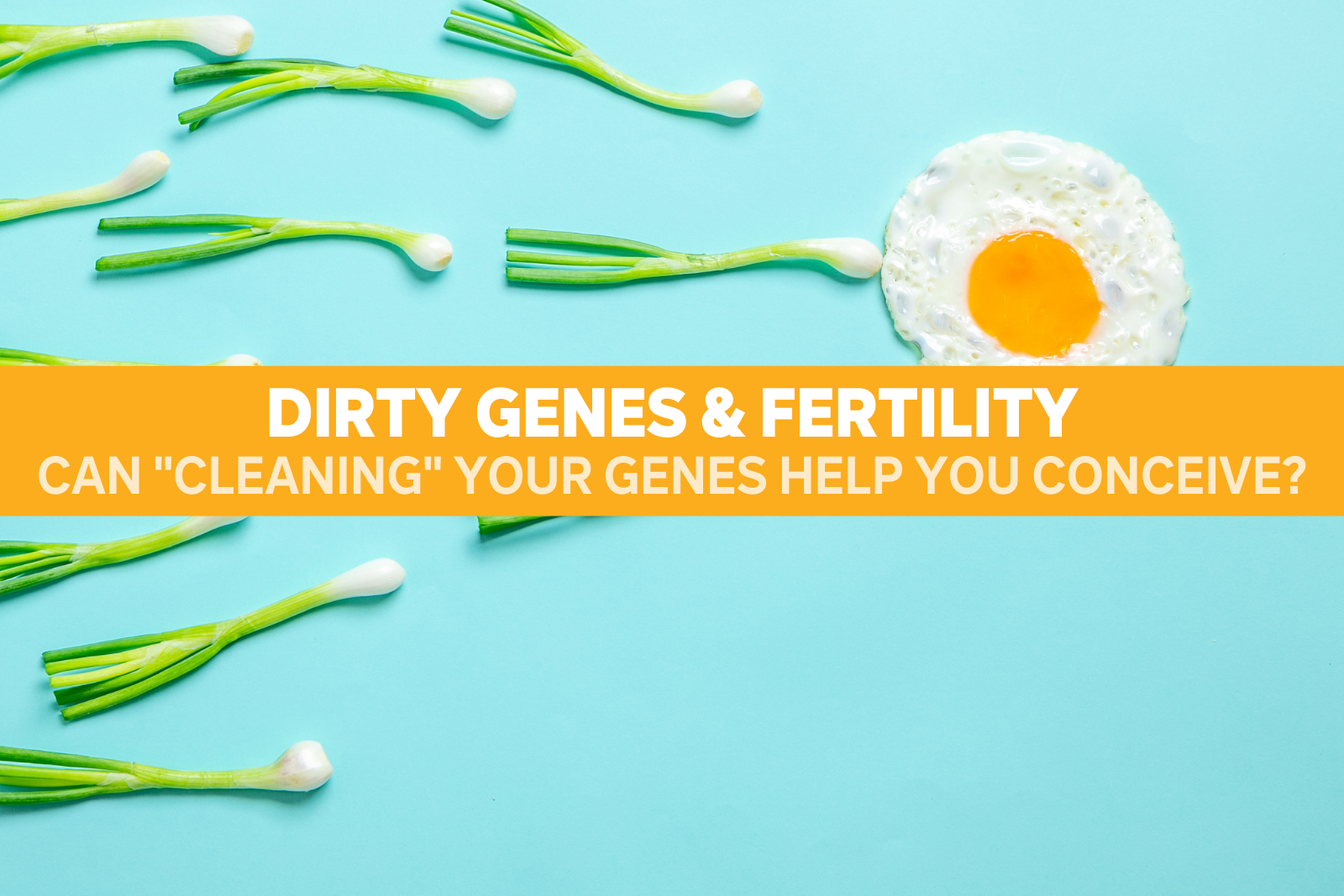 Blog Cover_Dirty genes fertility