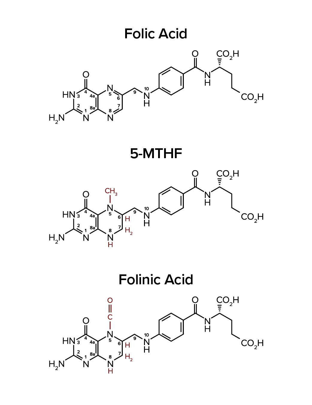 [Blog-Graphic-3]-Chemical-Structures-FolicAcid-5MTHF-FolinicAcid