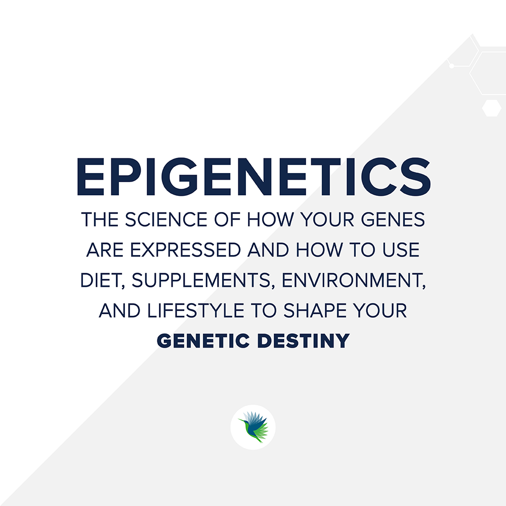 Epigenetics-definition