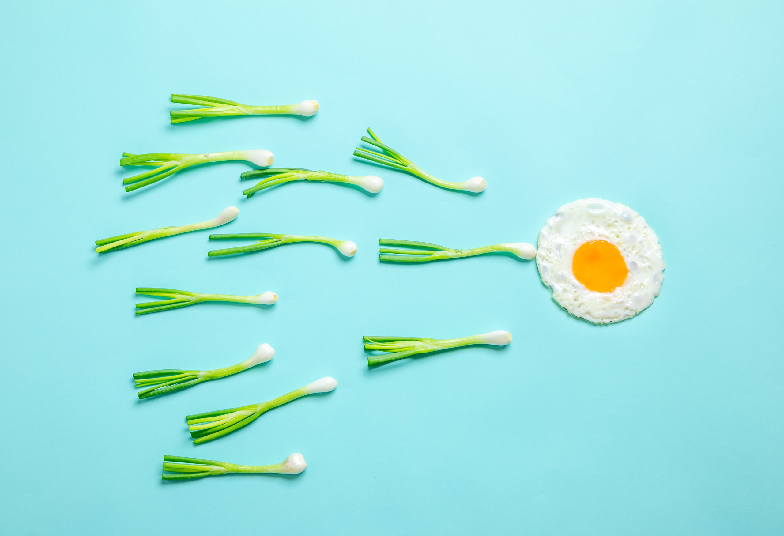 Fertility Diet Foods_Egg Sperm