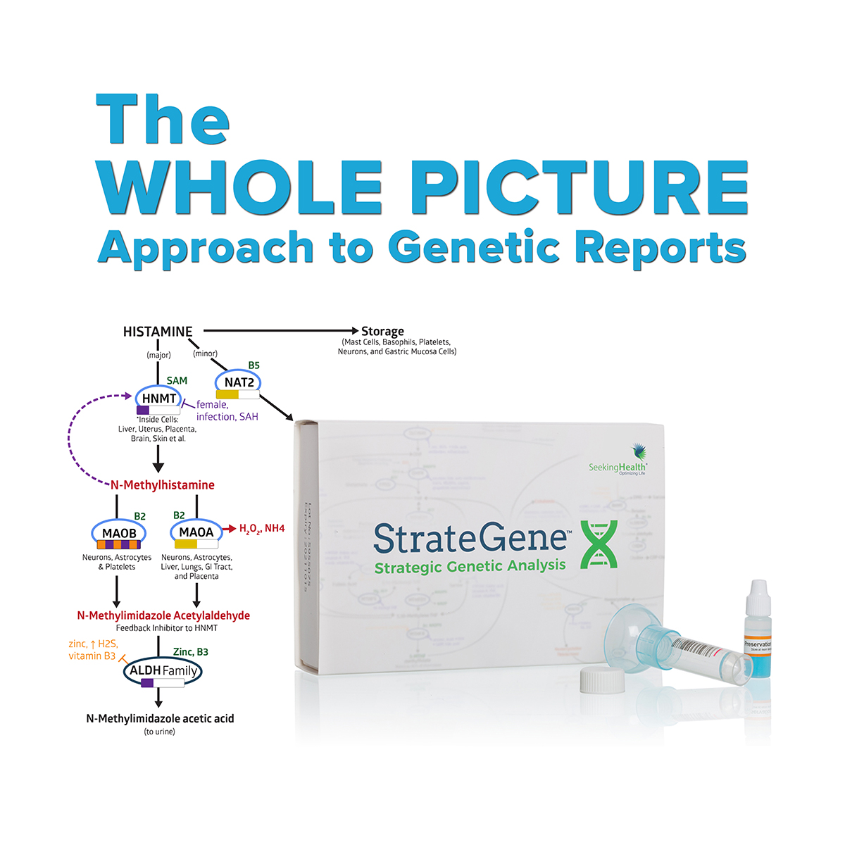 StrateGene-DNA-Kit