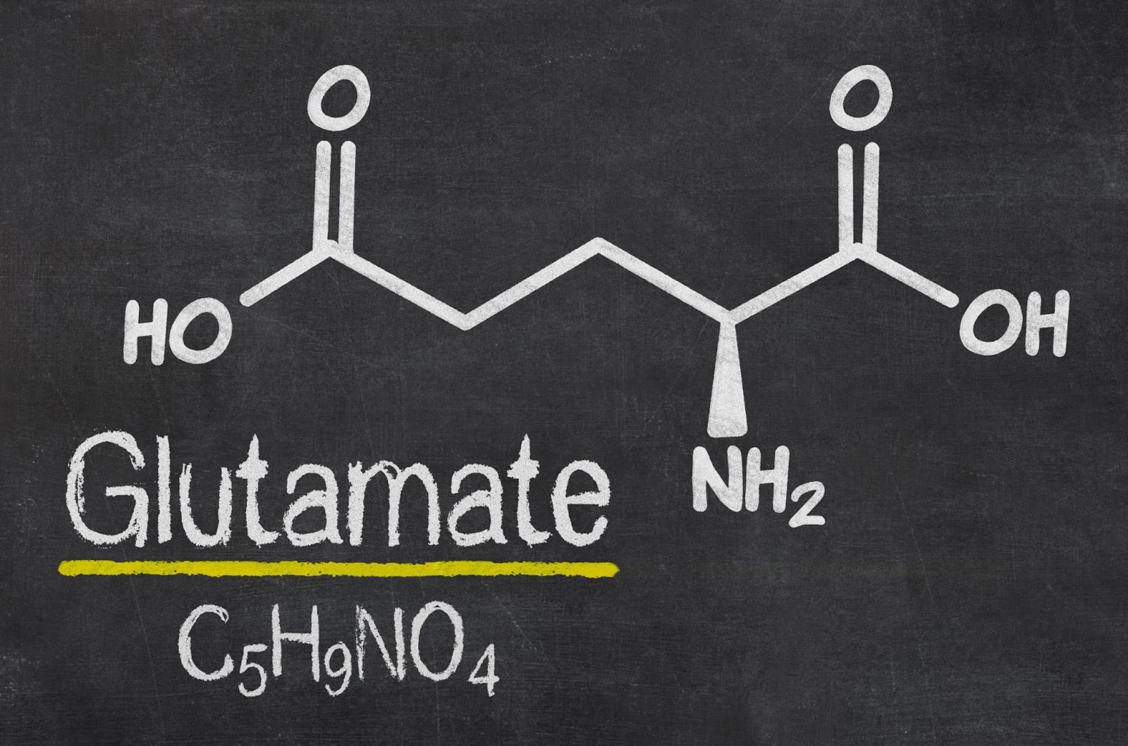 Glutamate chemistry