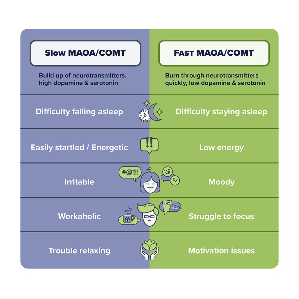[Infographic]-Fast-vs-Slow-MAOA-COMT