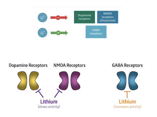 Lithium Dopamine NMDA Receptors Sleep