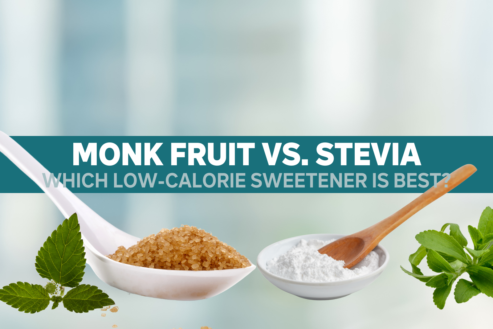 Blog Cover_Monk Fruit vs. Stevia