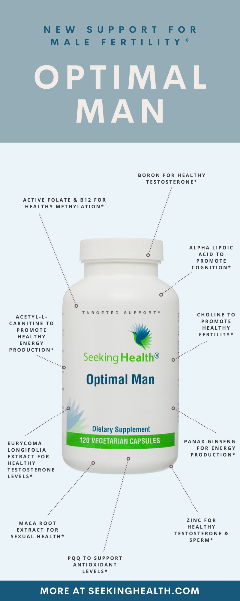 Optimal Man_Infographic