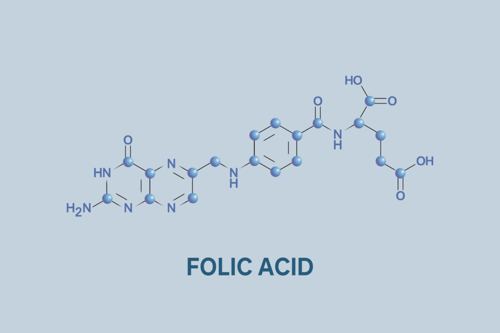 Folate vs. Folic Acid in Pregnancy Which is Best?