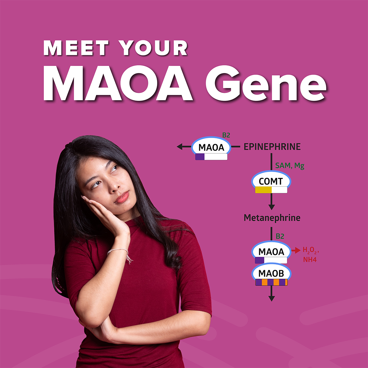 Meet-Your-MAOA-Gene