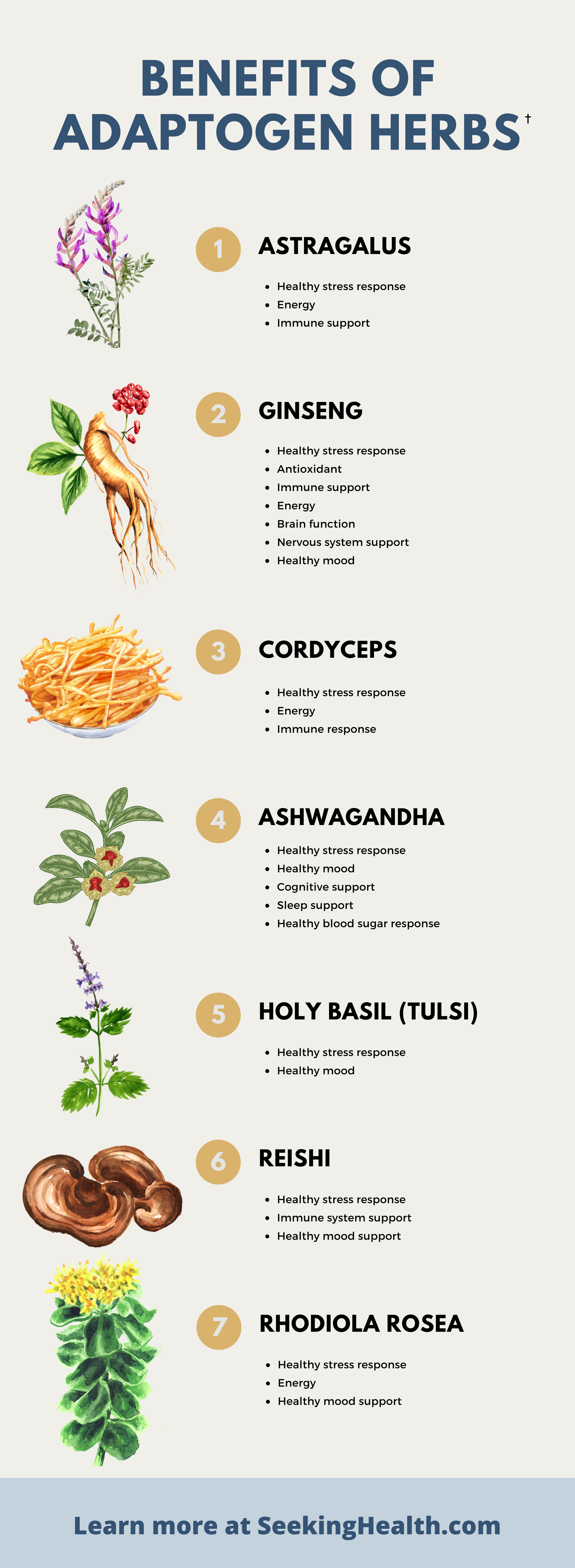 Benefits of Adaptogen Herbs_Infographic_Seeking Health