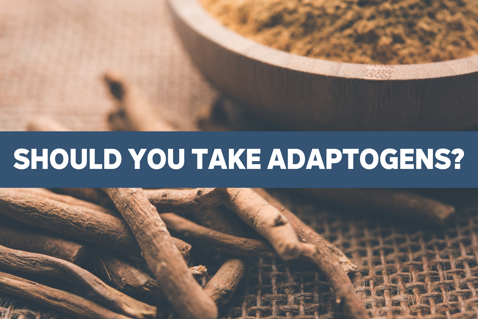 Should You Take Adaptogens_Blog Cover