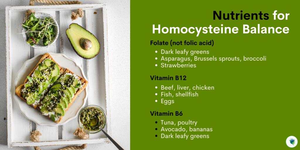 Nutrients for Homocysteine Balance