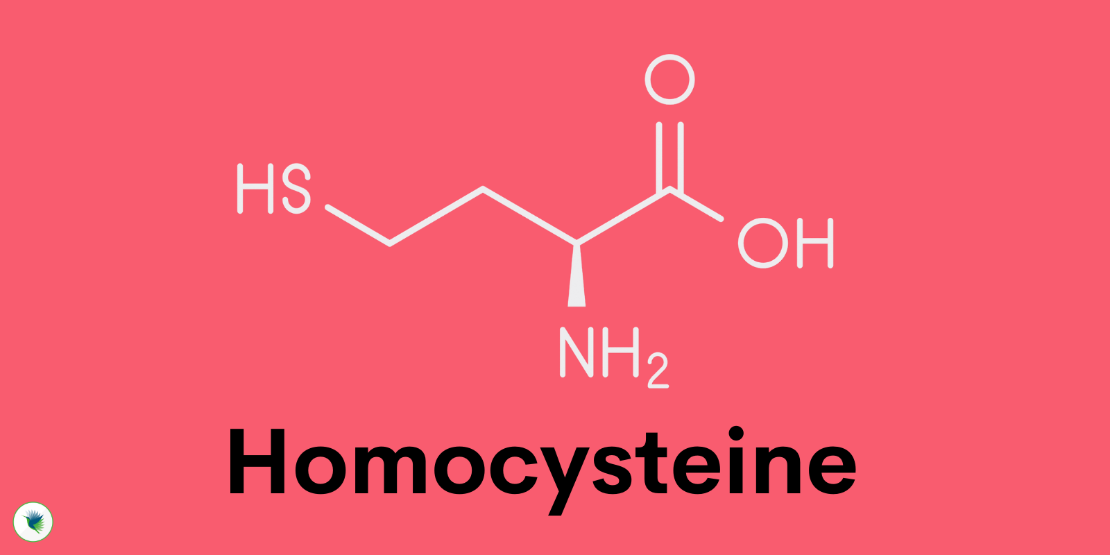 What is Homocysteine ?
