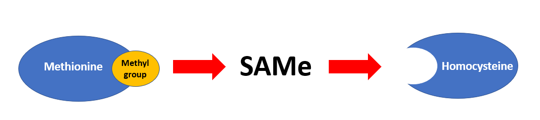 What is SAMe & Why Do You Need It?