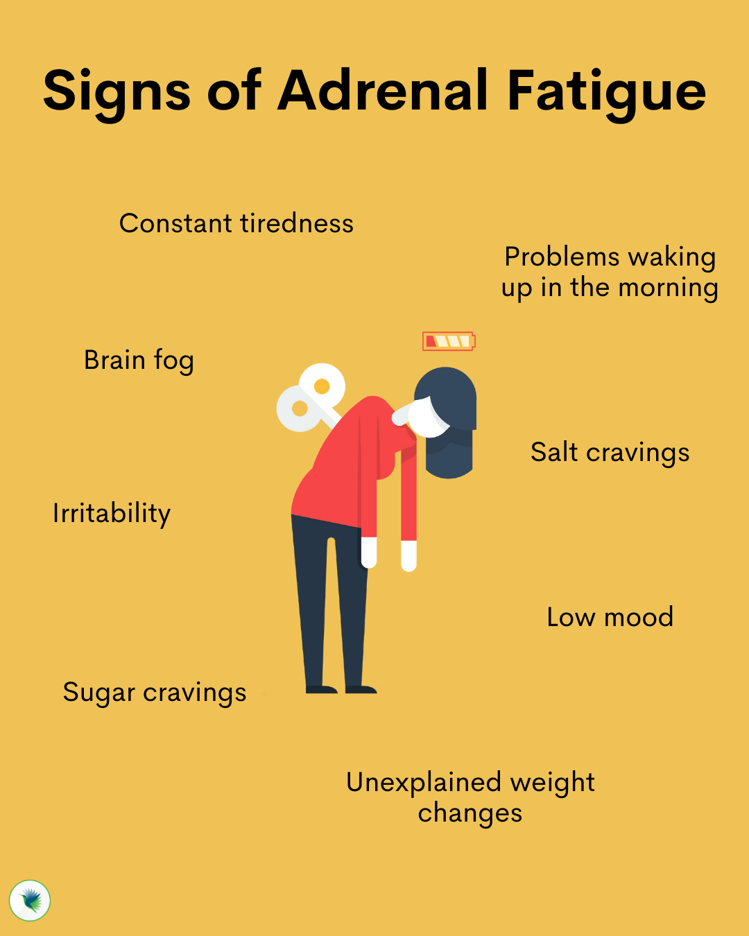 Adrenal Fatigue: What you need to know 